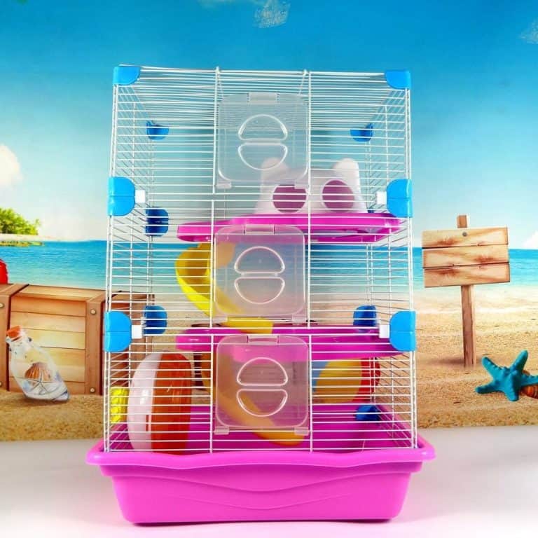 Meilleure cage à hamster le comparatif en septembre 2024