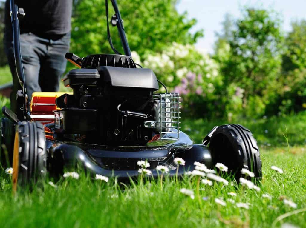 Les meilleures tondeuses à gazon du moment en janvier 2024