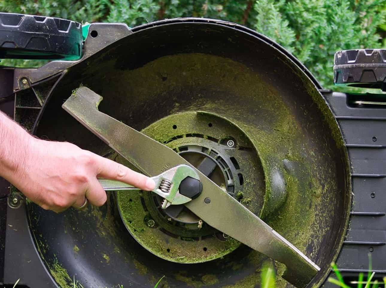 Les meilleures tondeuses à gazon du moment en février 2025