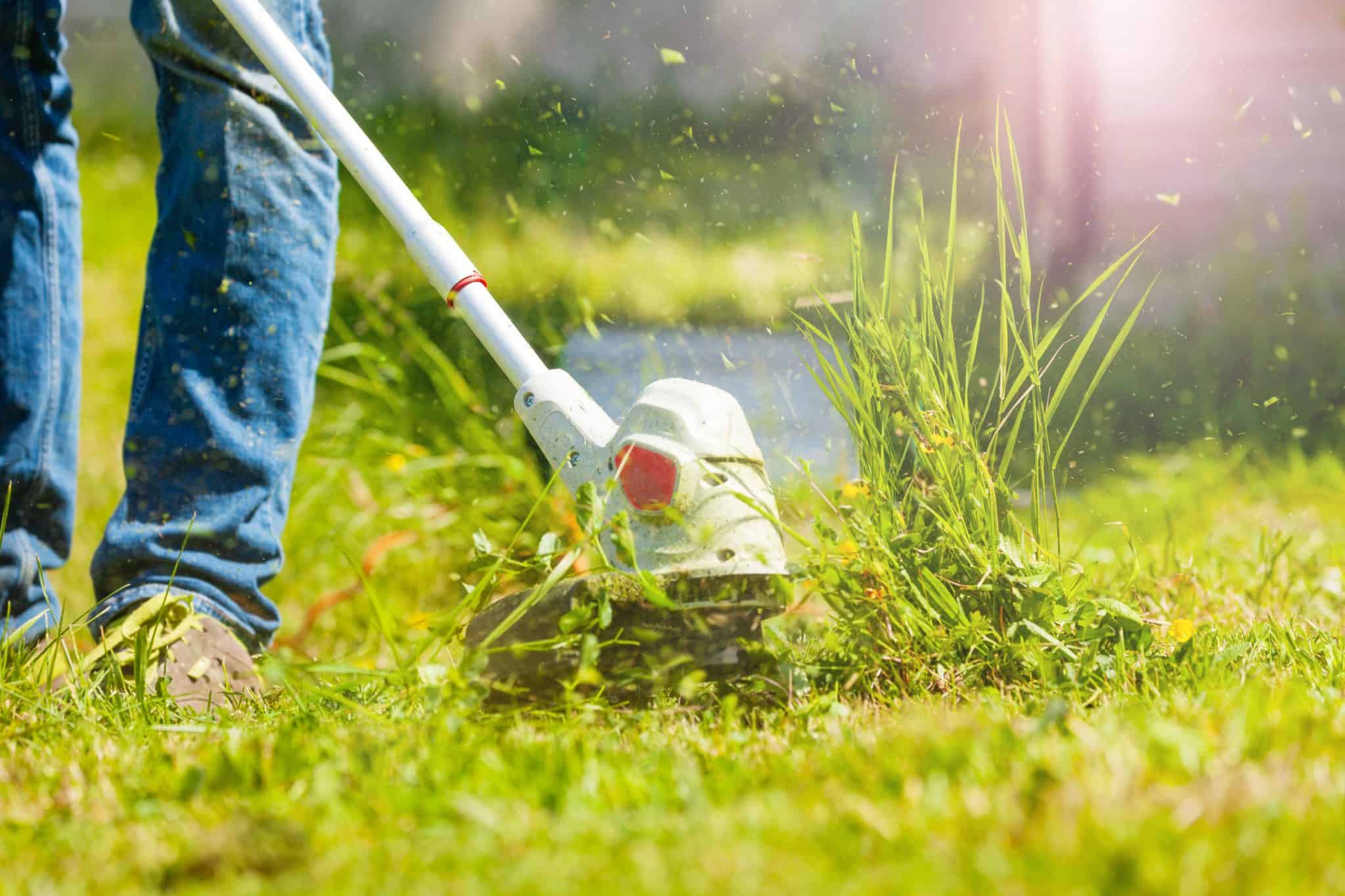 Bien Entretenir Son Jardin Tout Au Long De L ann e Nos Conseils En 