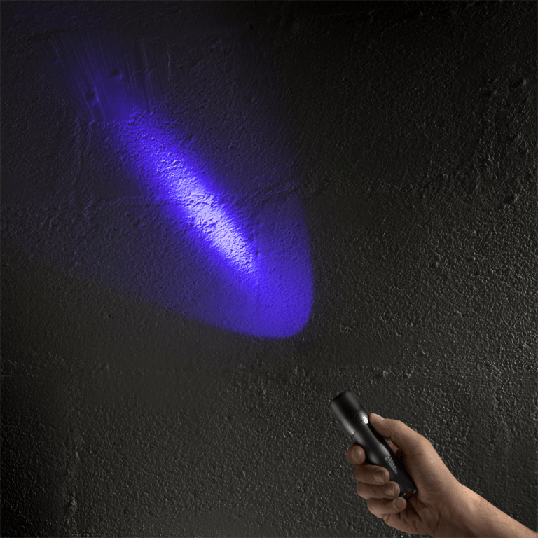 Les meilleures lampes UV du moment en septembre 2024