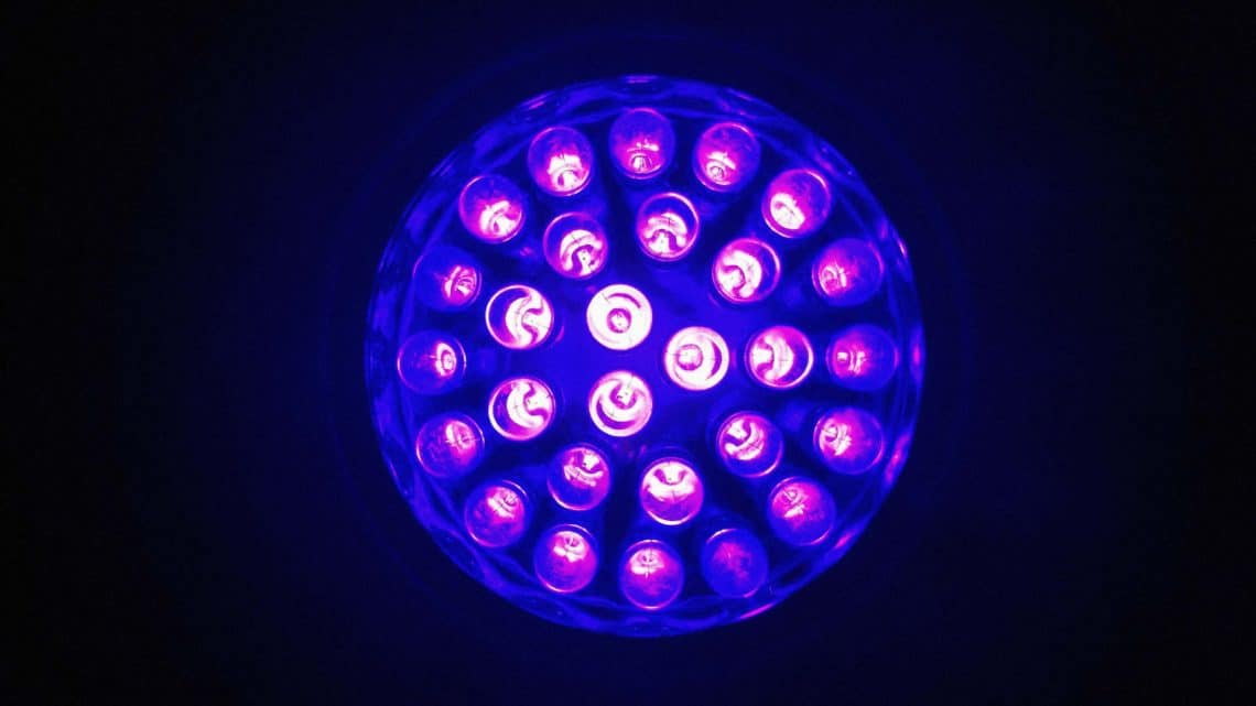 Lampe Torche UV 254nm Onde Courte - Pour Vérifier Billets, Timbres, Fluorescence, Alimentation 4xAA