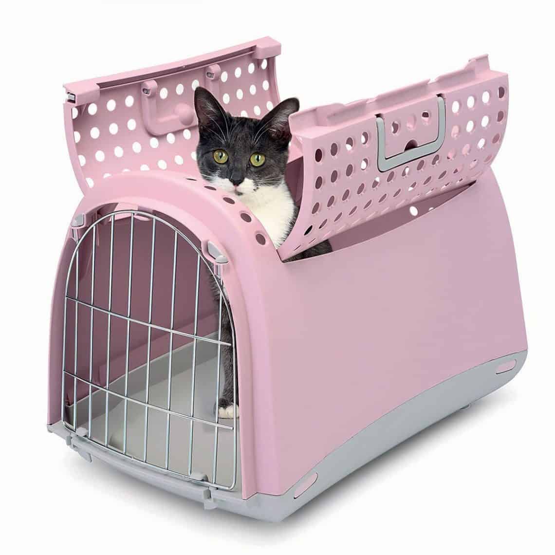 Caisse de transport pour chat quel modèle choisir ? en février 2025