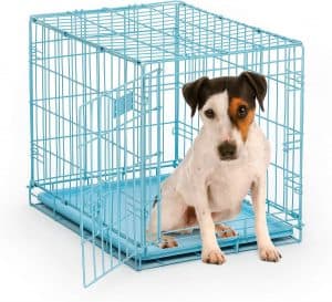 cage pour chien bleue