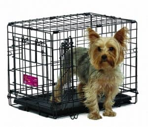 chien petit dans une cage pour chien