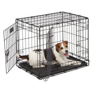 petit chien dans une cage pour chien