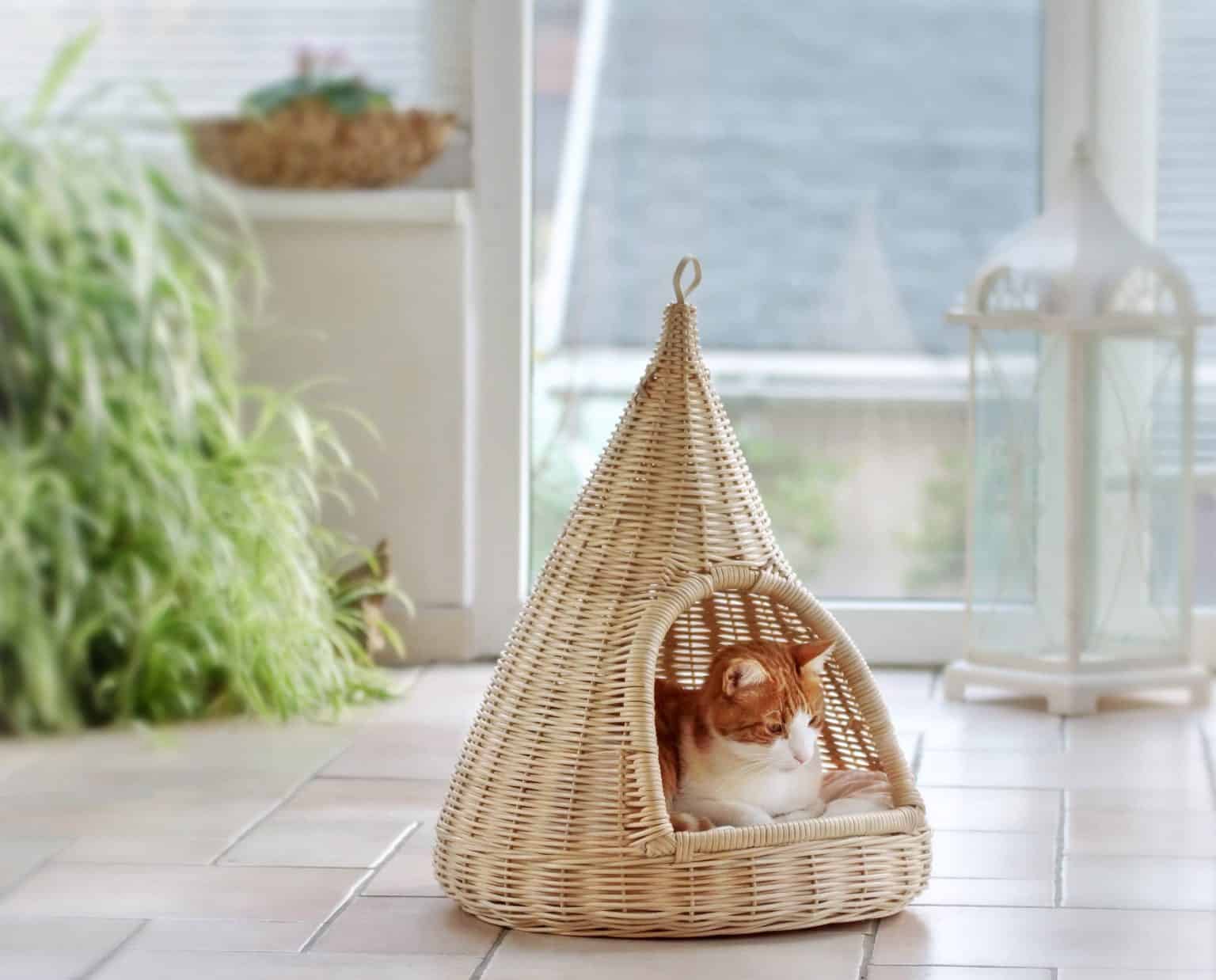 Les meilleurs paniers pour chat du moment en avril 2024