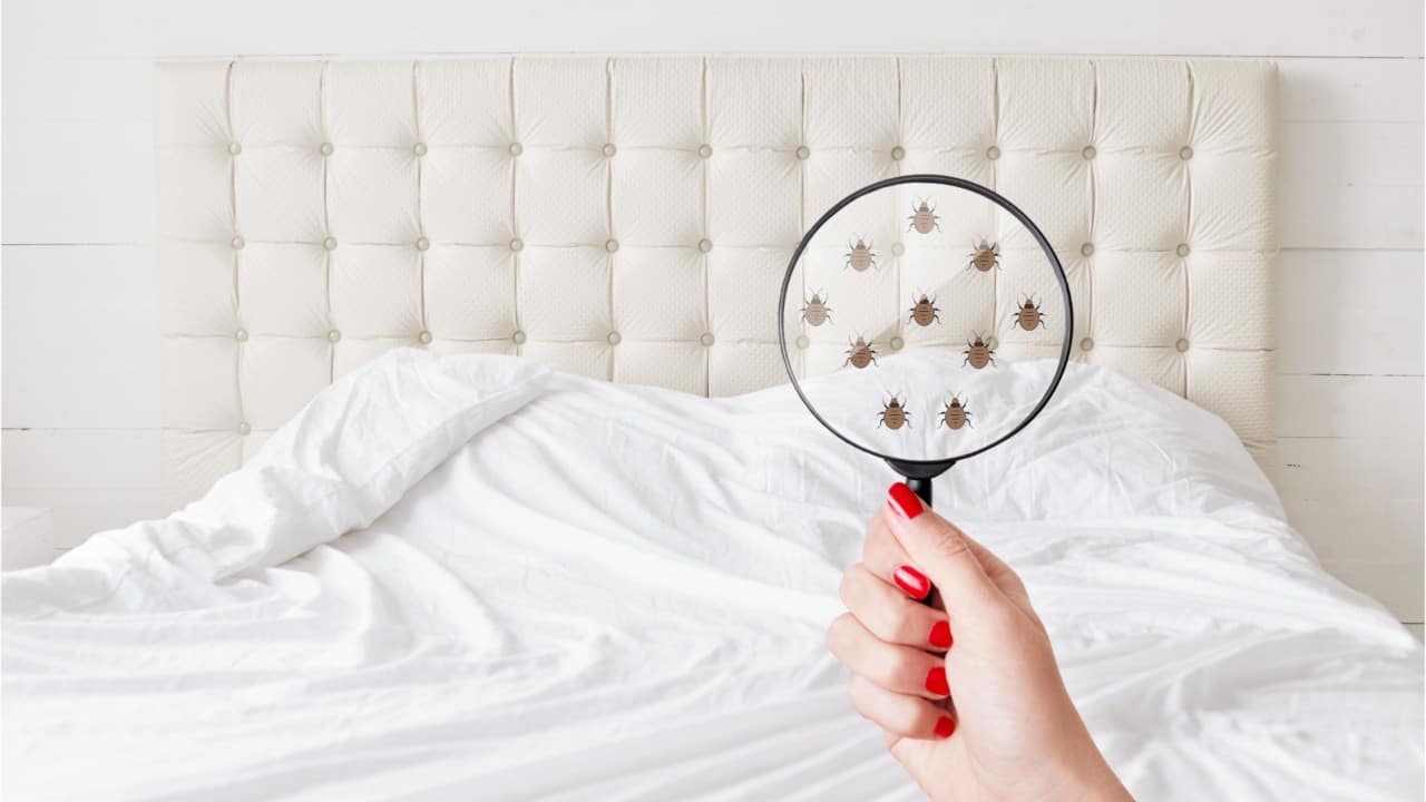 Les meilleures têtes de lit du moment en janvier 2025